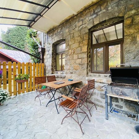 Apartment Carol Private Yard With Barbeque And Parking Синая Экстерьер фото
