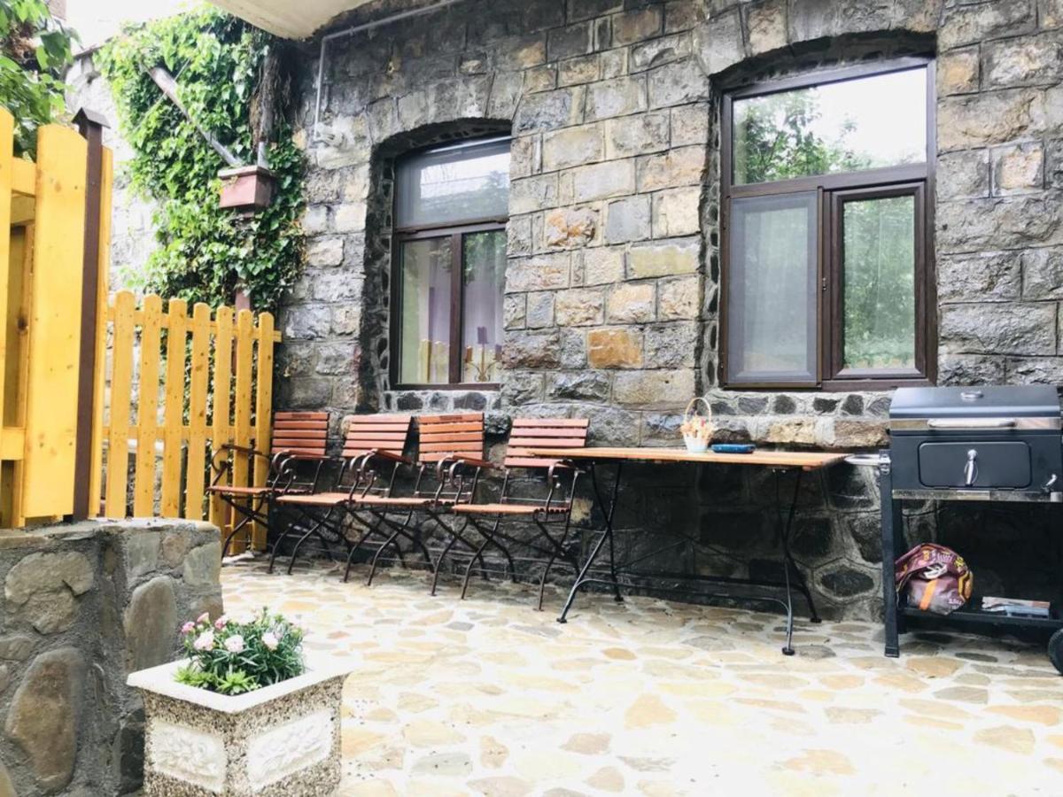 Apartment Carol Private Yard With Barbeque And Parking Синая Экстерьер фото