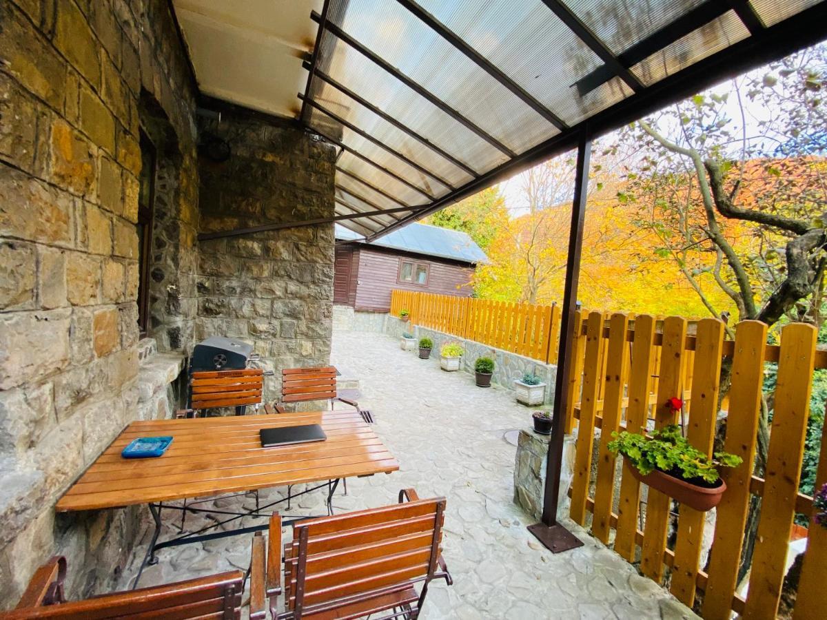Apartment Carol Private Yard With Barbeque And Parking Синая Экстерьер фото
