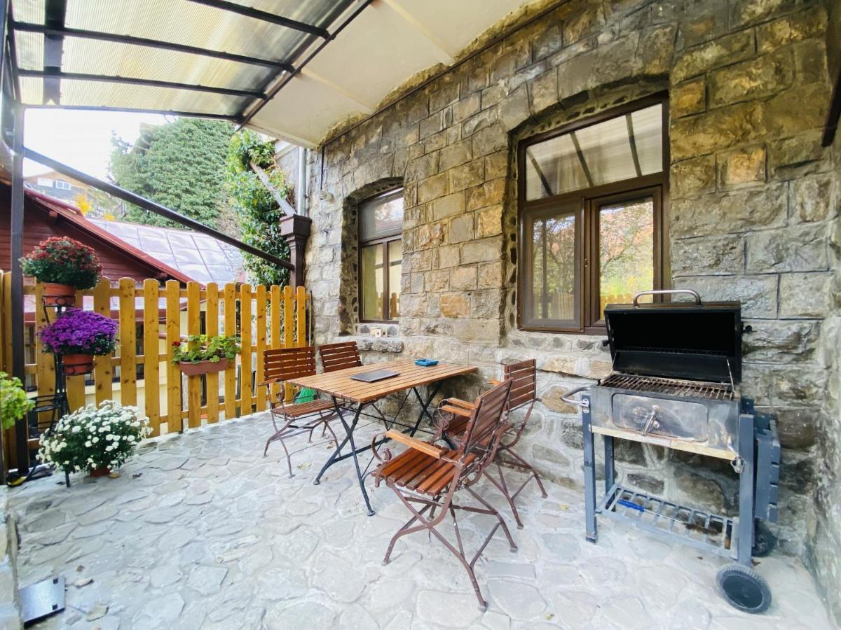 Apartment Carol Private Yard With Barbeque And Parking Синая Экстерьер фото