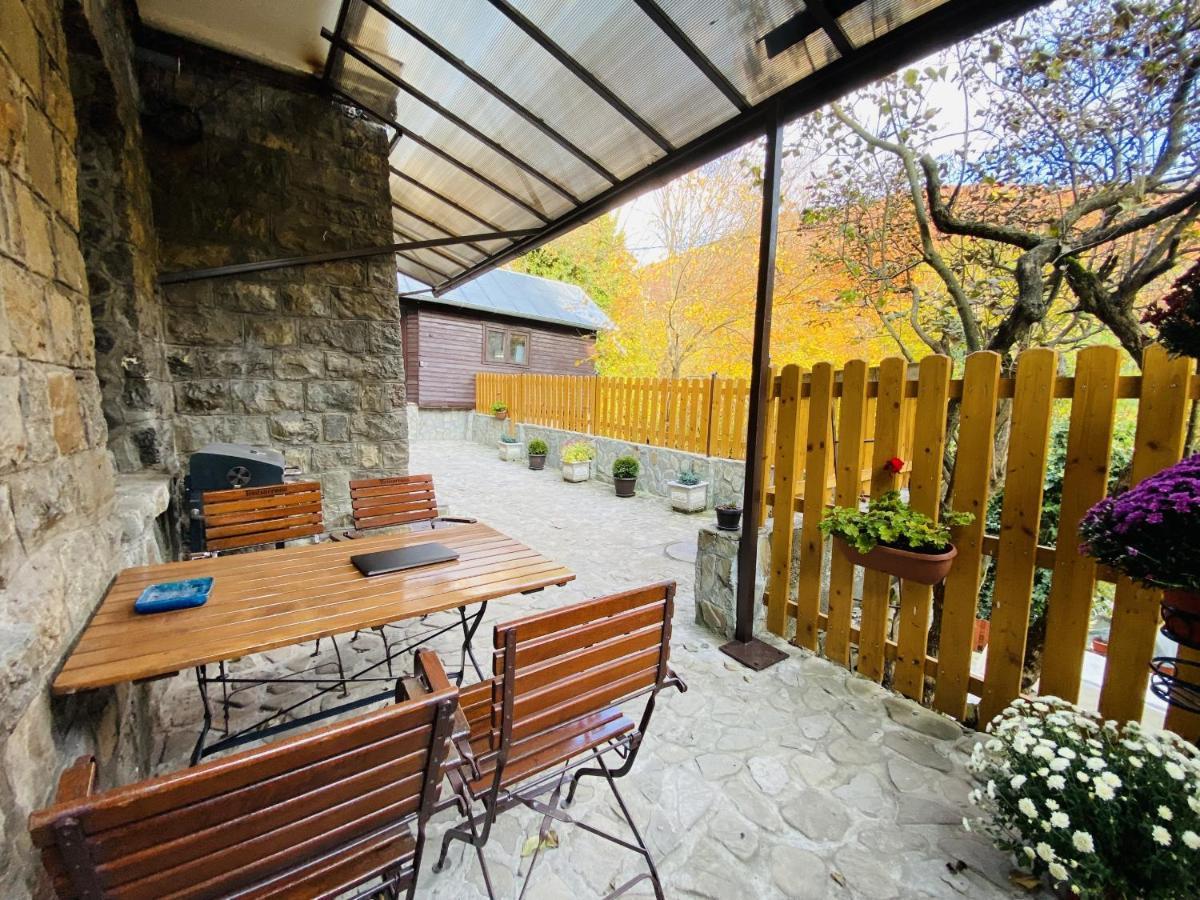 Apartment Carol Private Yard With Barbeque And Parking Синая Экстерьер фото