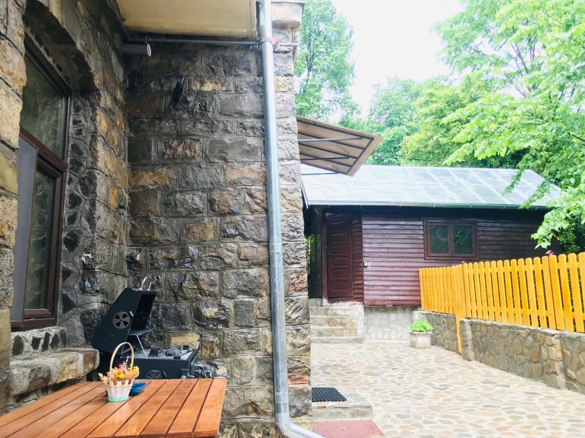 Apartment Carol Private Yard With Barbeque And Parking Синая Экстерьер фото